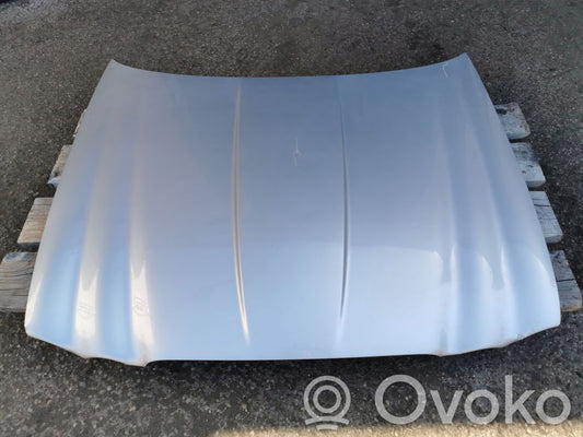 Dzinēja pārsegs (vāks)