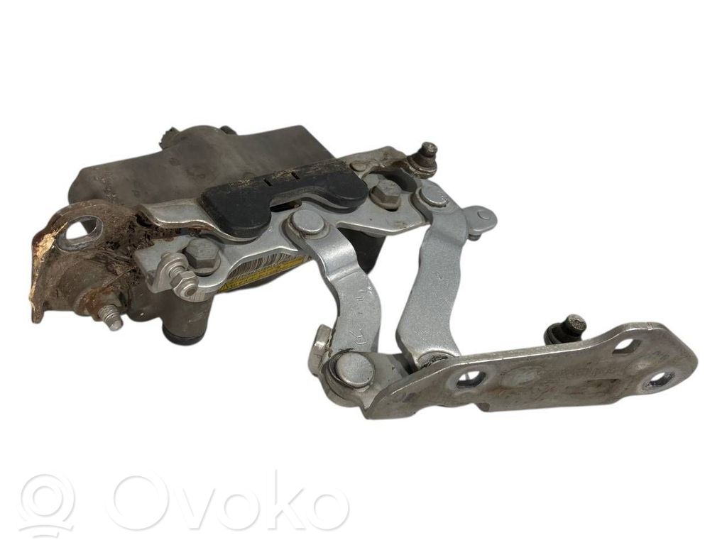 Dzinēja pārsega eņģe (-es)