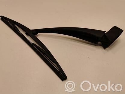 Aizmugurējā loga tīrītājs