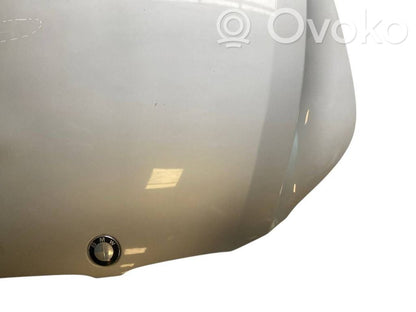 Dzinēja pārsegs (vāks)