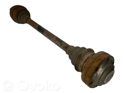 Aizmugurējā pusass