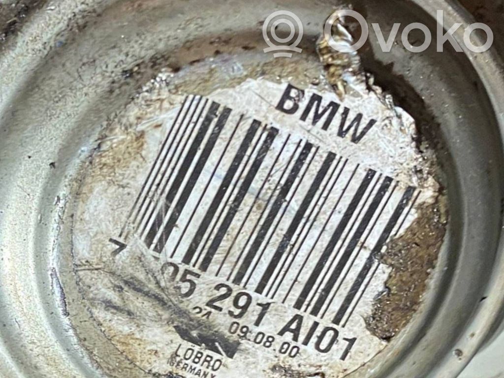 Aizmugurējā pusass