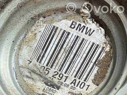 Aizmugurējā pusass