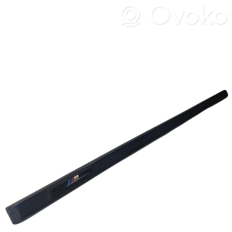 Priekšpusē durvju dekoratīvā apdare (moldings)