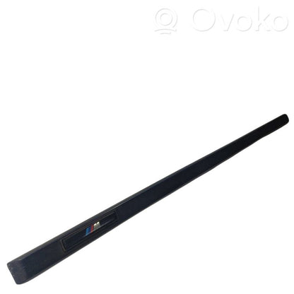 Priekšpusē durvju dekoratīvā apdare (moldings)