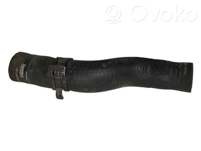 Caurulīte (-es) / šļūtene (-es)
