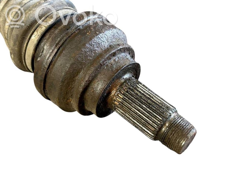 Aizmugurējā pusass