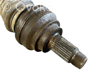 Aizmugurējā pusass