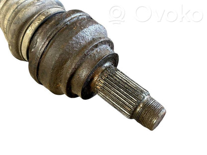 Aizmugurējā pusass