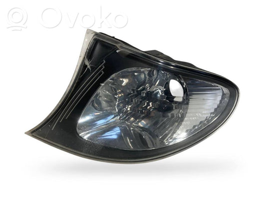 Front cornering light