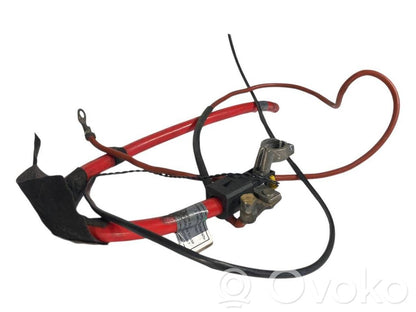 Plusa vads (akumulatora)