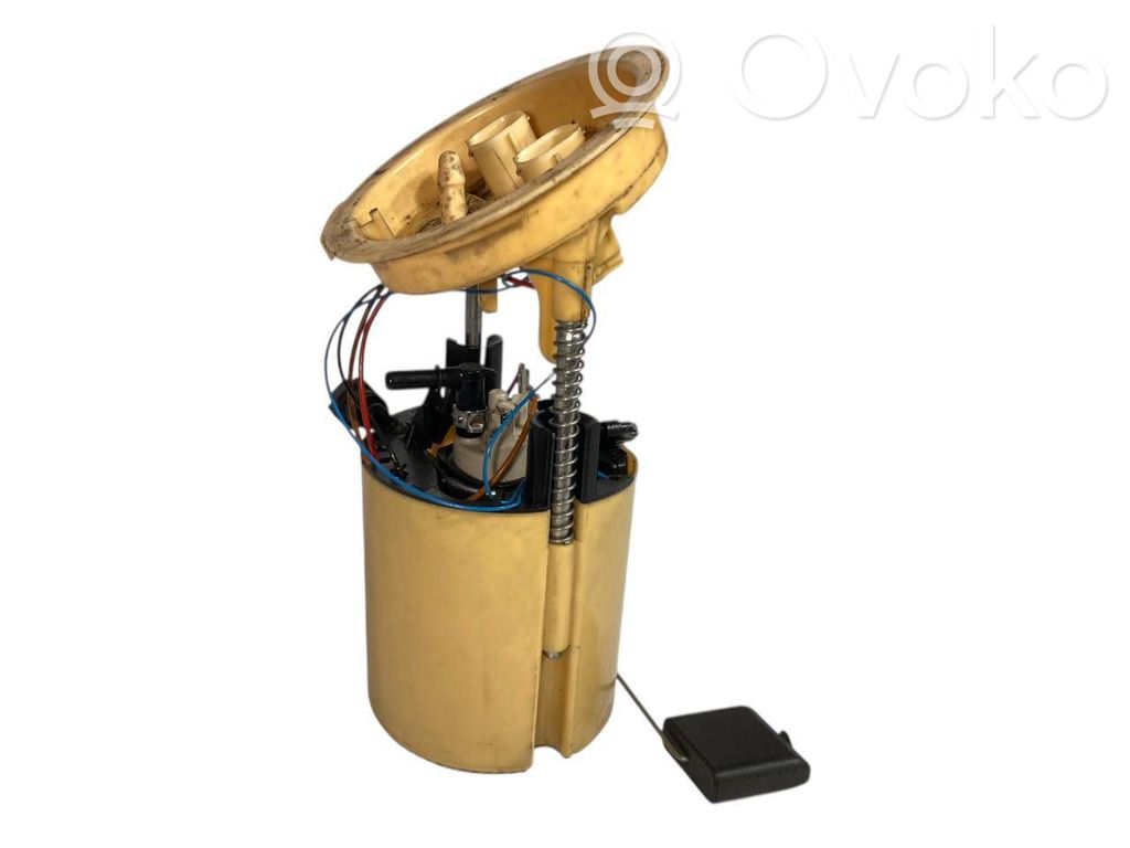 Fuel pump (in the fuel tank)