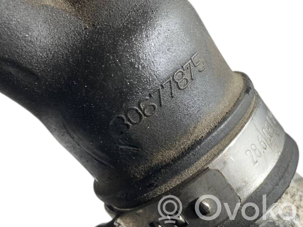 Caurulīte (-es) / šļūtene (-es)