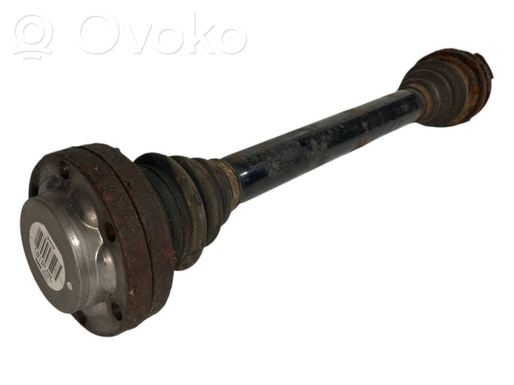 Aizmugurējā pusass