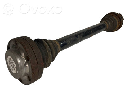 Aizmugurējā pusass