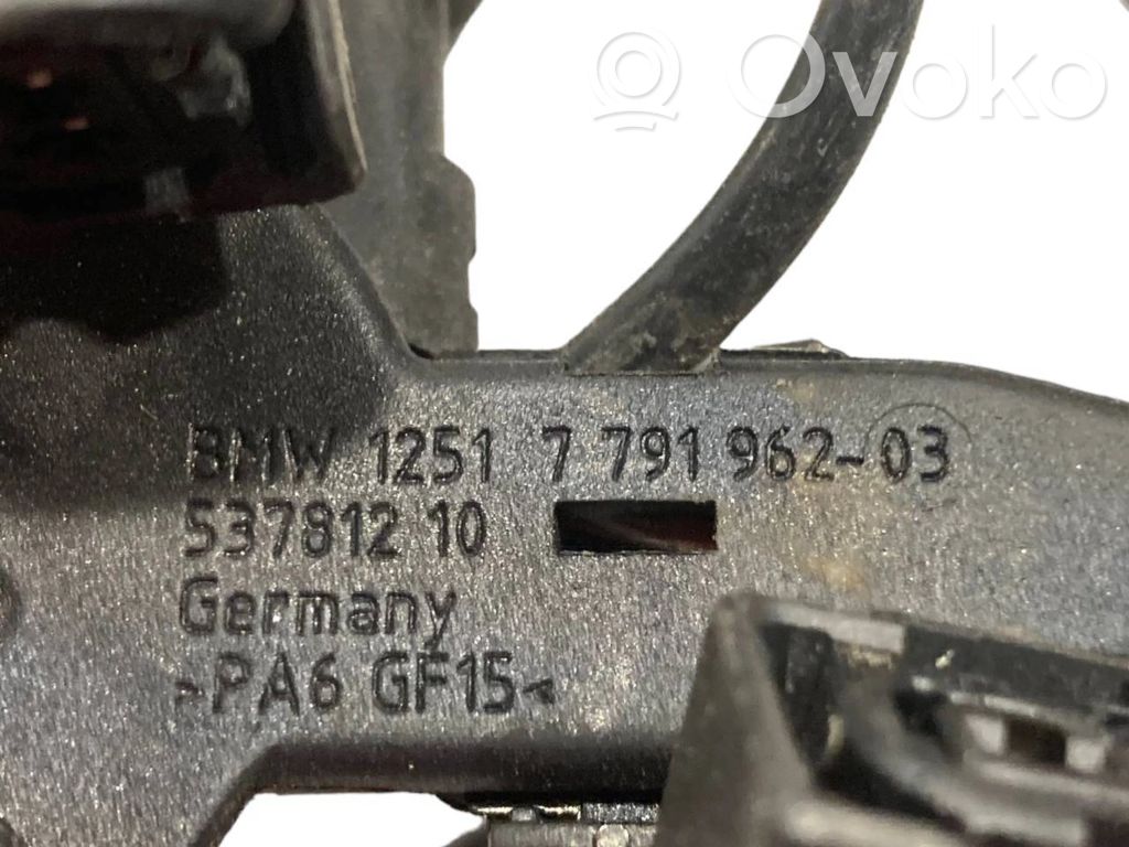 Engine wiring harness