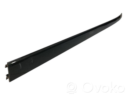 Aizmugurē durvju dekoratīvā apdare (moldings)