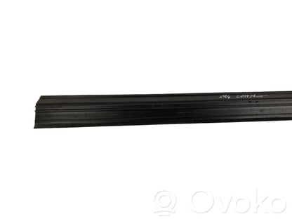 Front sill trim (inner)
