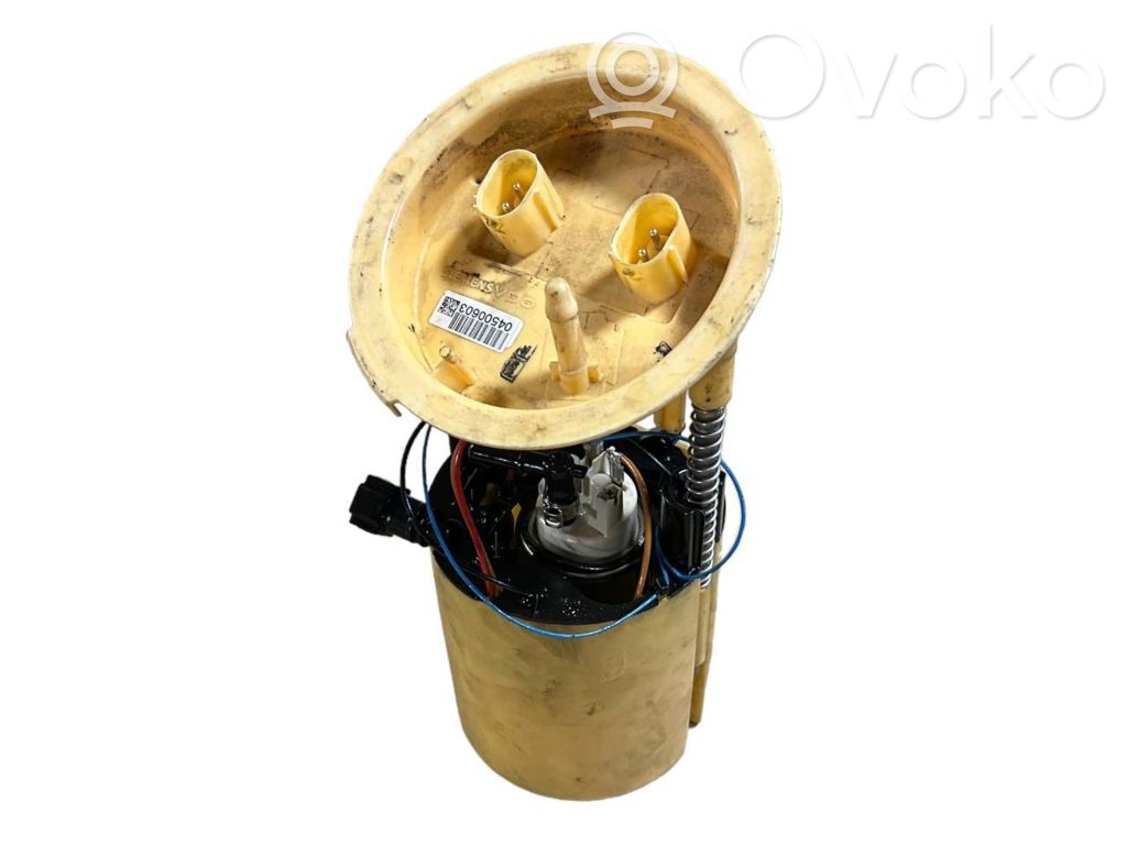 Fuel pump (in the fuel tank)