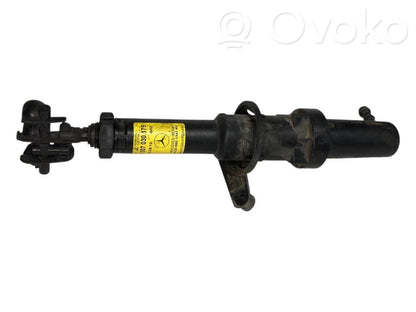 Lukturu mazgātāja sprausla (-as)