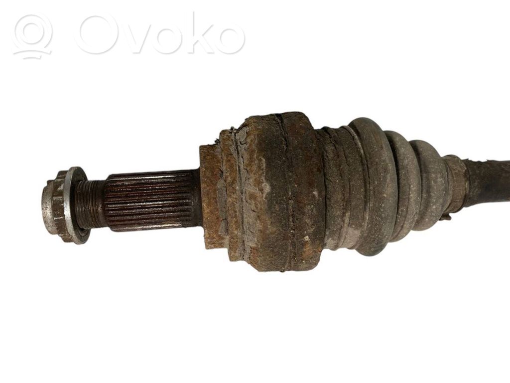 Aizmugurējā pusass