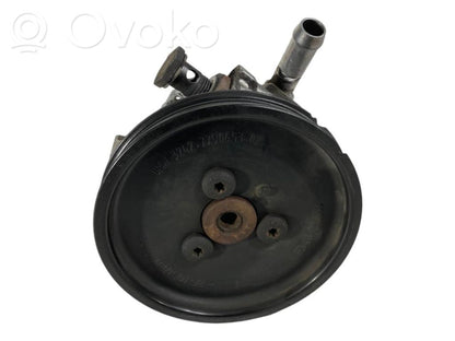 Stūres pastiprinātāja sūknis