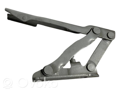 Петли капота двигателя