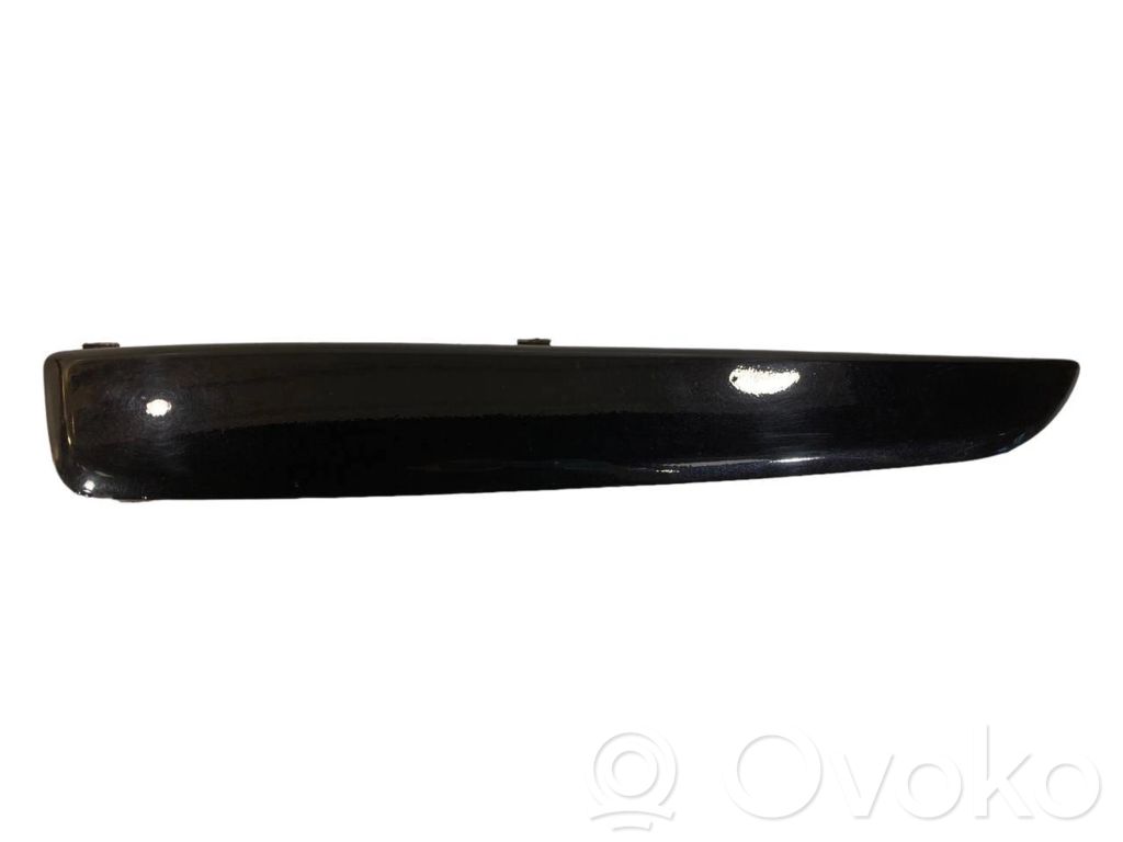 Decorative bumper trim at the front