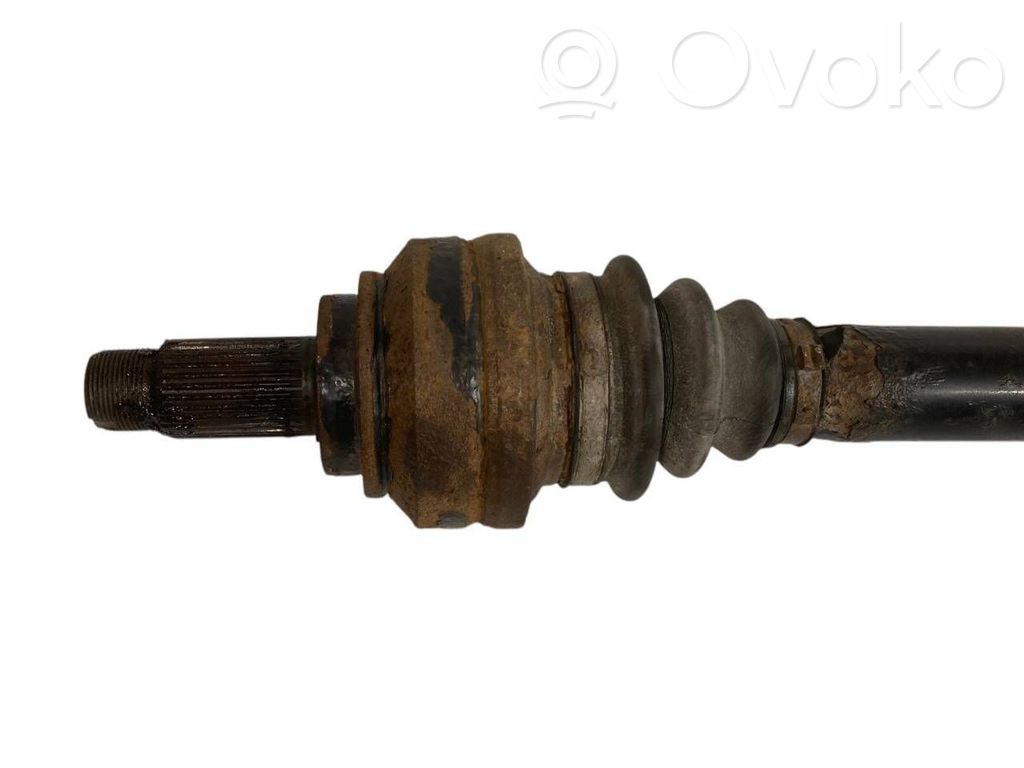 Aizmugurējā pusass