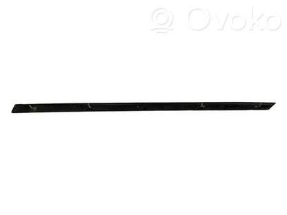 Aizmugurē durvju dekoratīvā apdare (moldings)