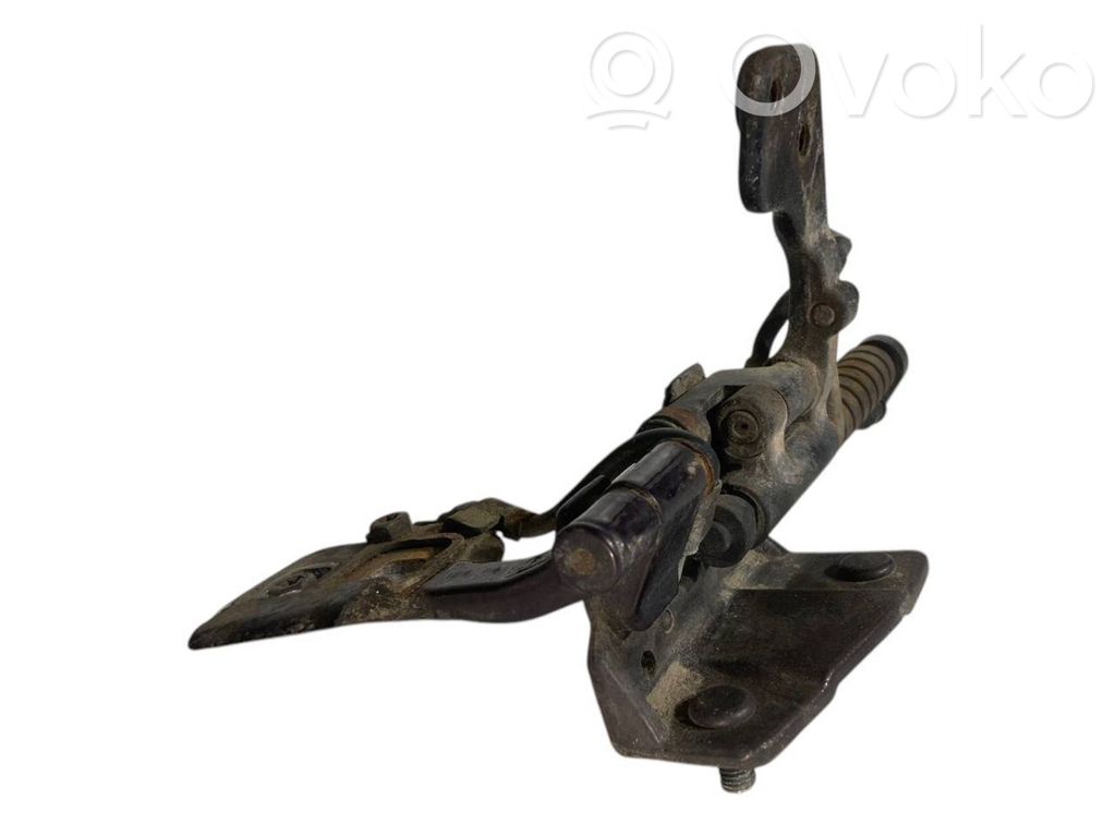 Aizmugurējā pārsega eņģe (-ess)