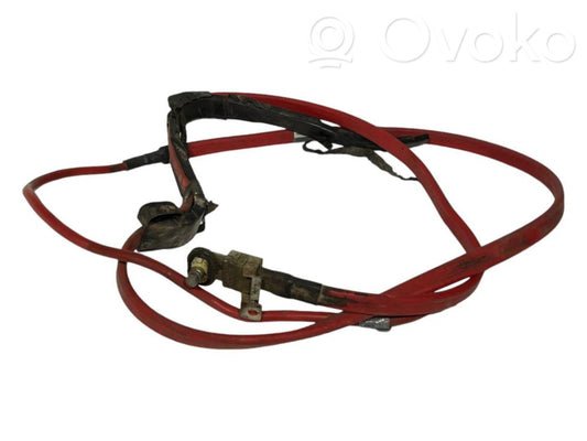 Plusa vads (akumulatora)