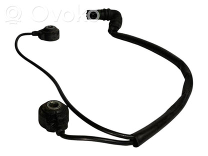 Detonācijas sensors