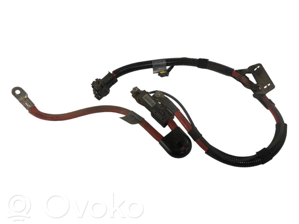 Plusa vads (akumulatora)