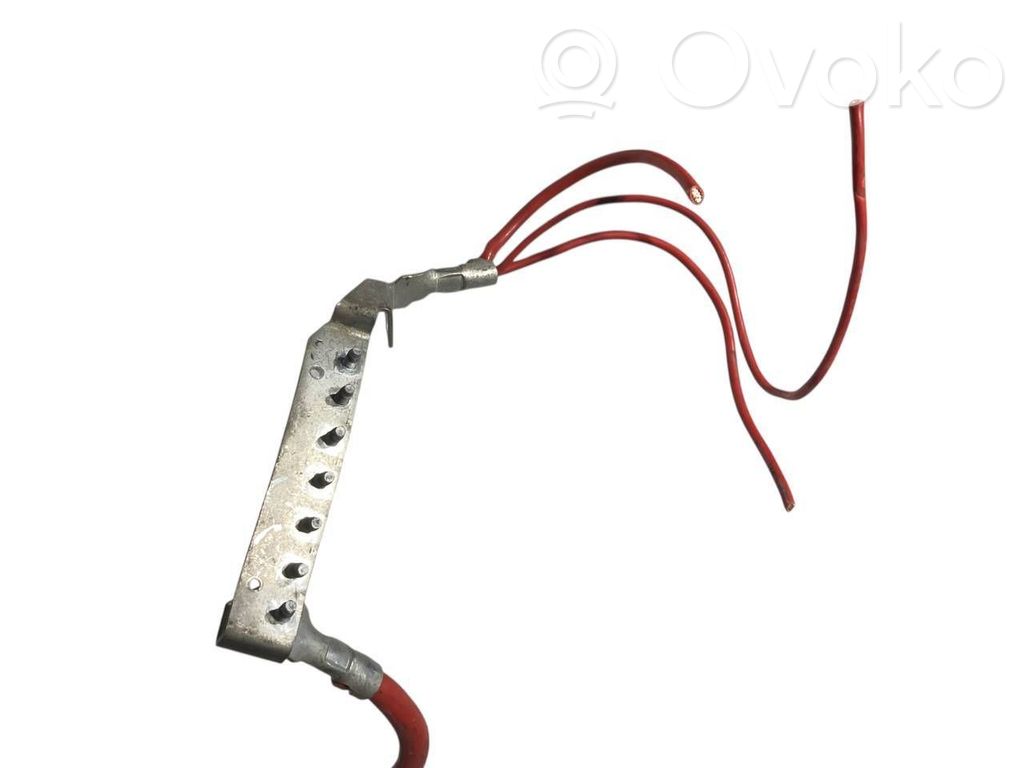 Plusa vads (akumulatora)