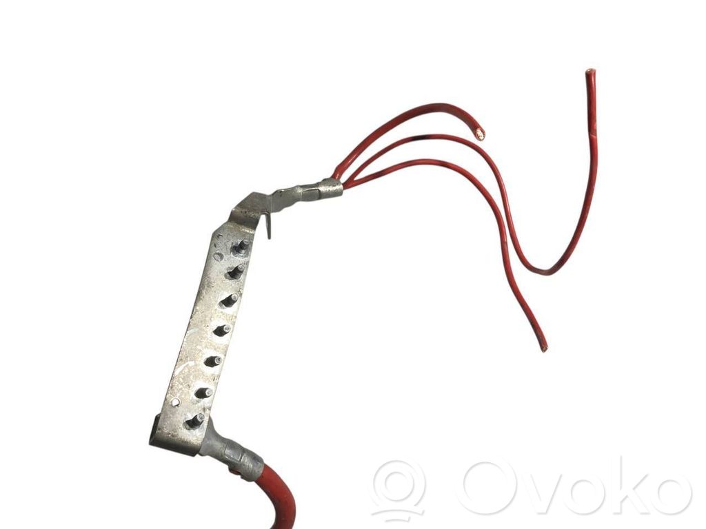Plusa vads (akumulatora)