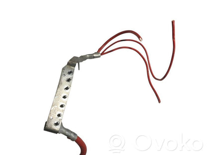 Plusa vads (akumulatora)