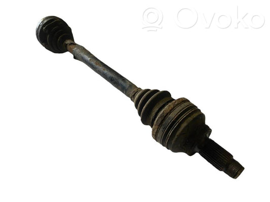 Aizmugurējā pusass