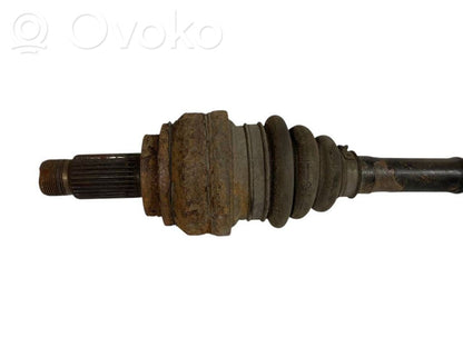 Aizmugurējā pusass