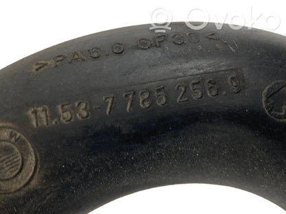 Caurulīte (-es) / šļūtene (-es)