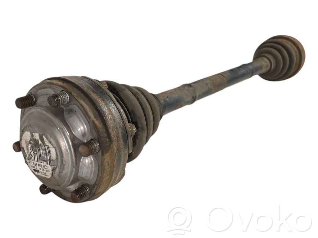 Aizmugurējā pusass