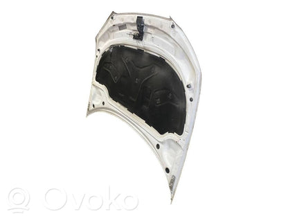 Dzinēja pārsegs (vāks)