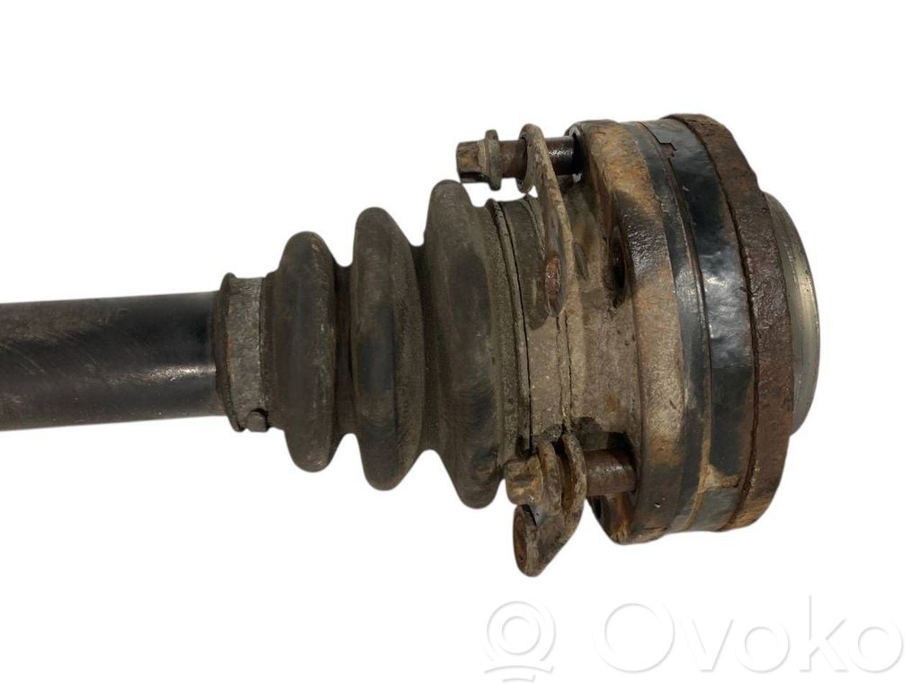 Aizmugurējā pusass