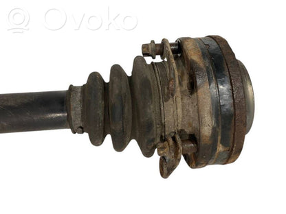 Aizmugurējā pusass