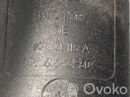 Caurulīte (-es) / šļūtene (-es)