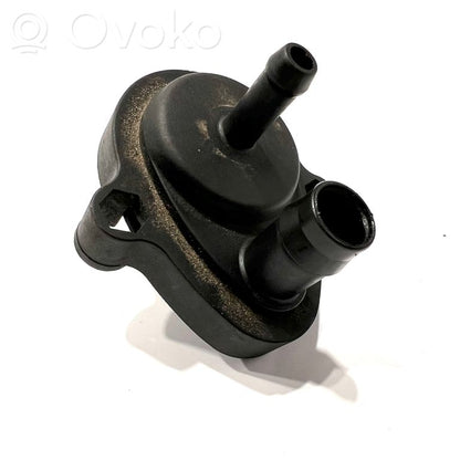 Degvielas caurulīte (-es)